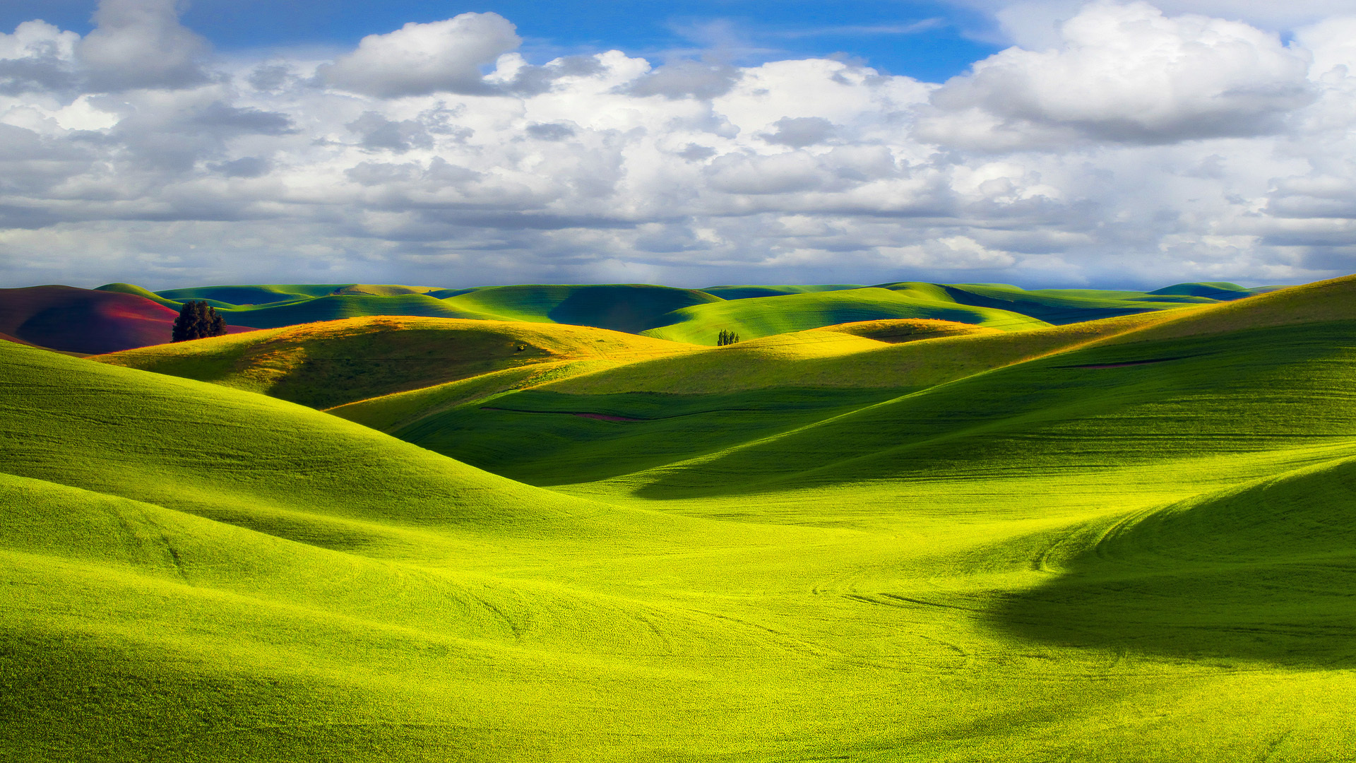 Green Hills зеленые холмы