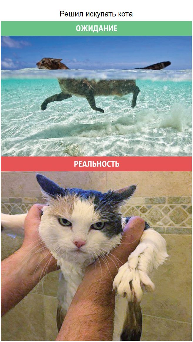 Фотографии ожидание реальность