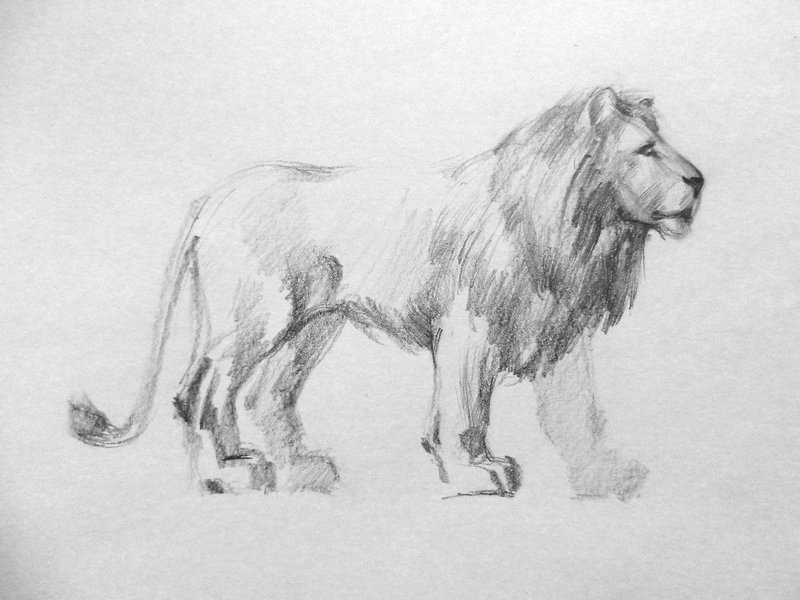 Рисунки льва збарского