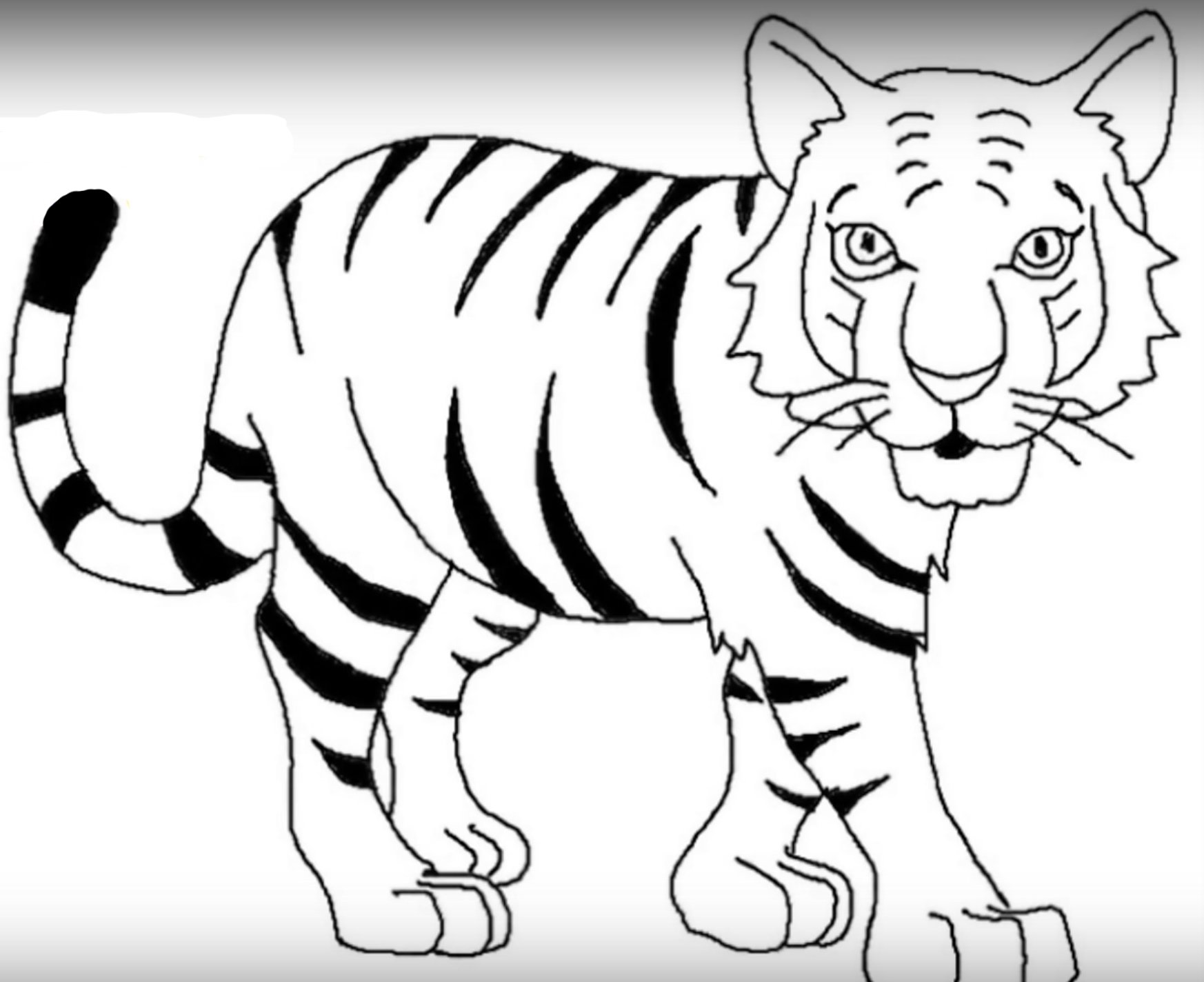 Рисунок тигра для срисовки для детей