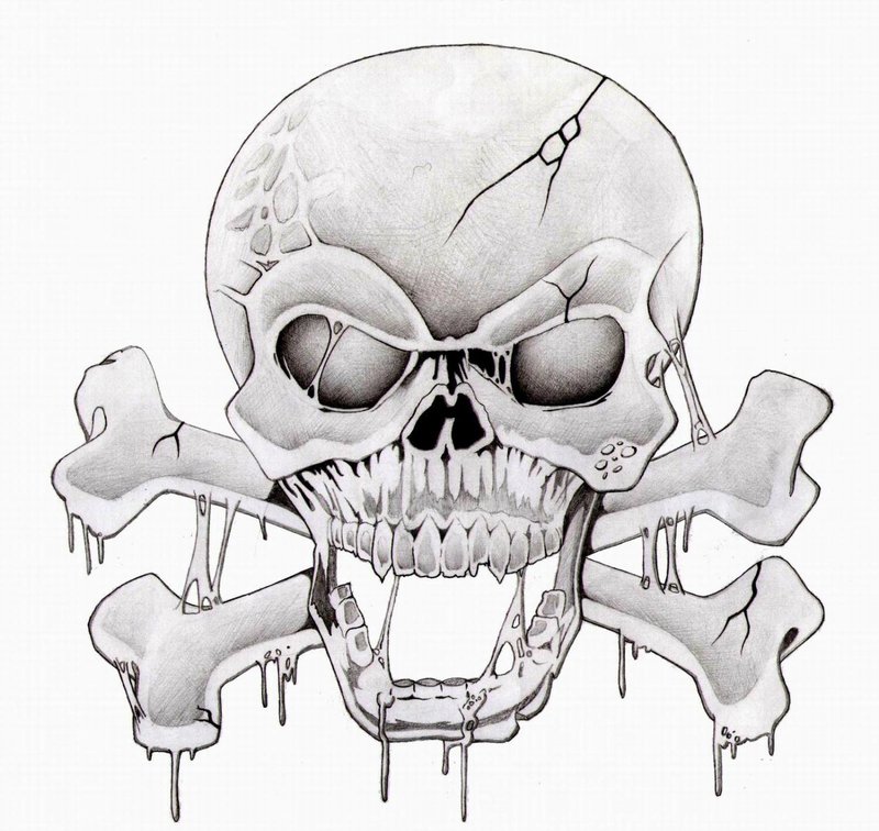 Рисунок карандашом: череп