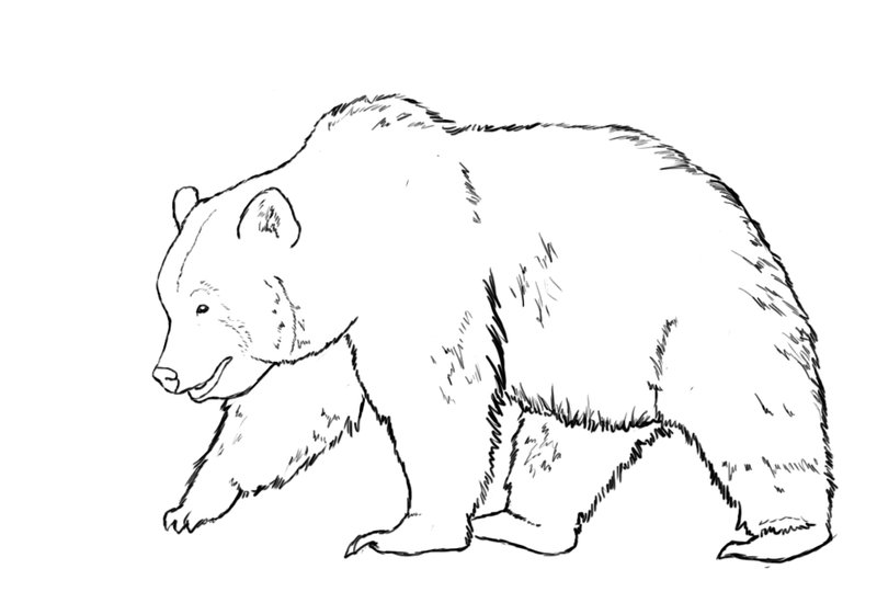Рисовать красками медведя