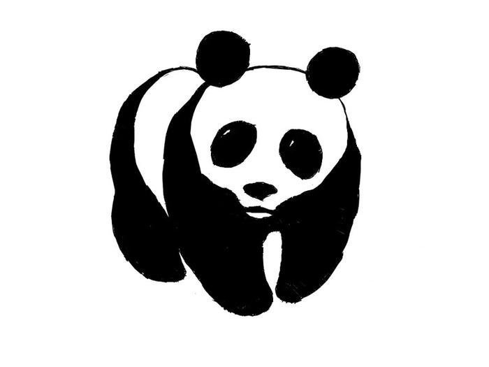 Малая панда рисунок карандашом