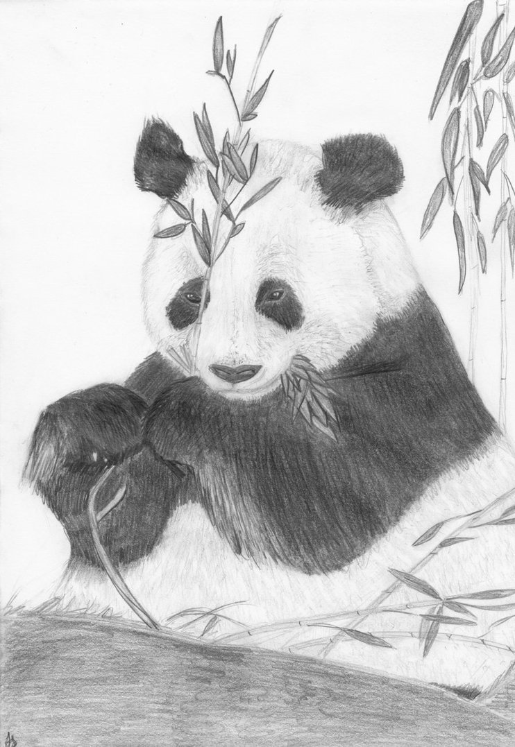 Нарисовать панду пошагово