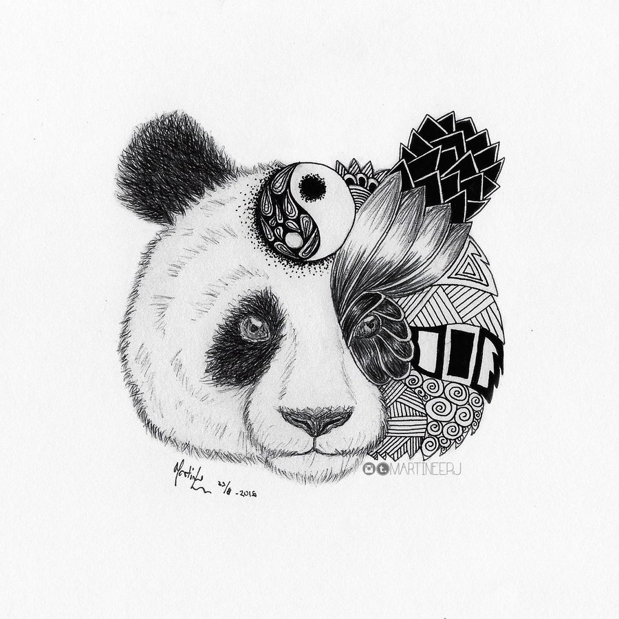 Малая панда рисунок карандашом