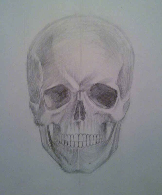 Рисунок карандашом: череп