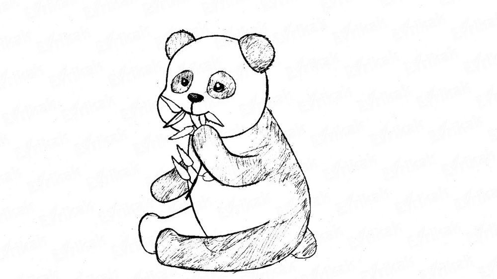 Как нарисовать панду с бамбуком карандашом