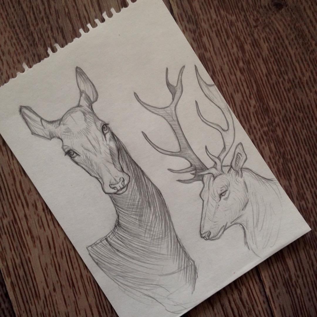 Идеи для рисования оленя