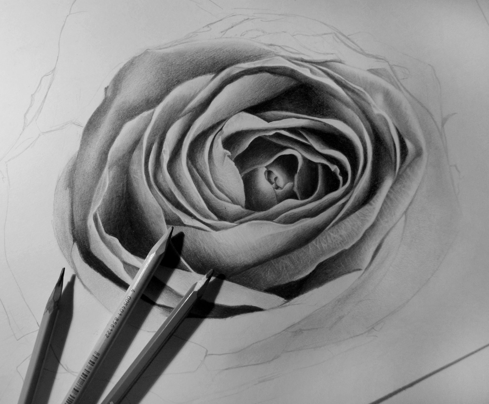 Нарисовать розу карандашом