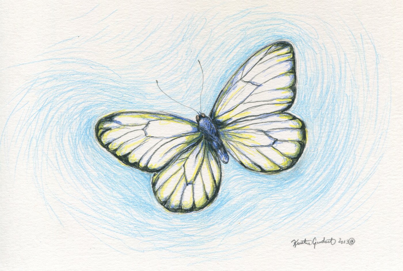 Красивая бабочка рисунок карандашом