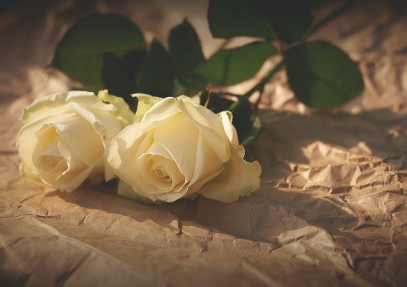 Две розы на похороны